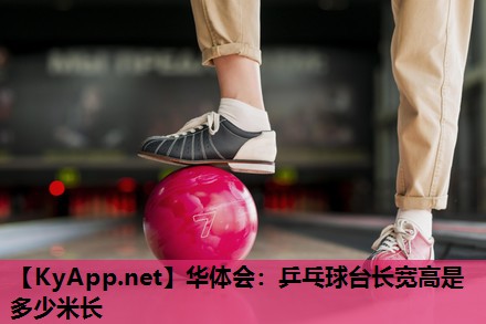 华体会：乒乓球台长宽高是多少米长