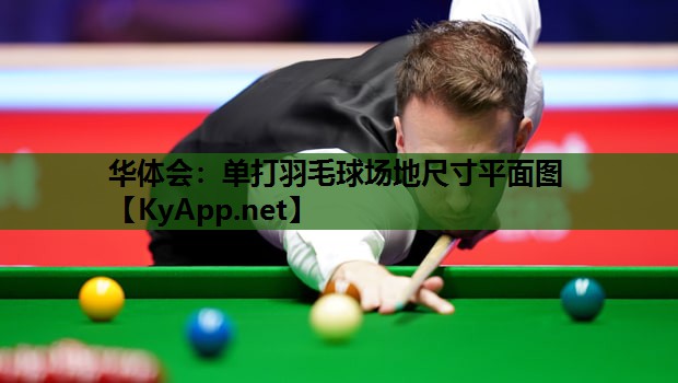 单打羽毛球场地尺寸平面图 单打羽毛球场地尺寸平面图