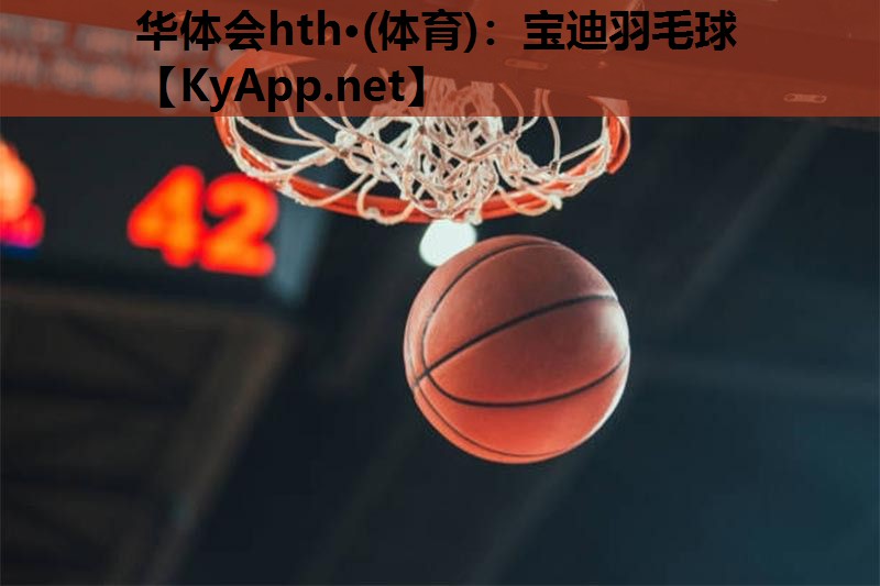 宝迪羽毛球 宝迪羽毛球